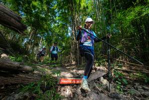 BIB: 
                            <button type="button" onclick="openModal(19388775)" class="btn btn-primary btn-sm float-right btn-popup" data-toggle="modal" data-target=".modal-high-quality">
                        <i class="fas fa-shopping-cart"></i> Add to Cart
                    </button>
                                            <button type="button" onclick="isThisMe(19388775, true)" class="btn btn-success btn-sm float-right btn-popup btn-isme hidden" data-toggle="tooltip" data-placement="bottom" title="นี่คือรูปของคุณใช่ไหม คลิกที่นี่เพื่อเอาเข้าอัลบั้ม">
                        <i class="fas fa-plus"></i> Add to album
                    </button>
                    <button type="button" onclick="isThisMe(19388775, false)" class="btn btn-warning btn-sm float-right btn-popup btn-isnotme hidden">
                        <i class="fas fa-ban"></i> Remove from album
                    </button>